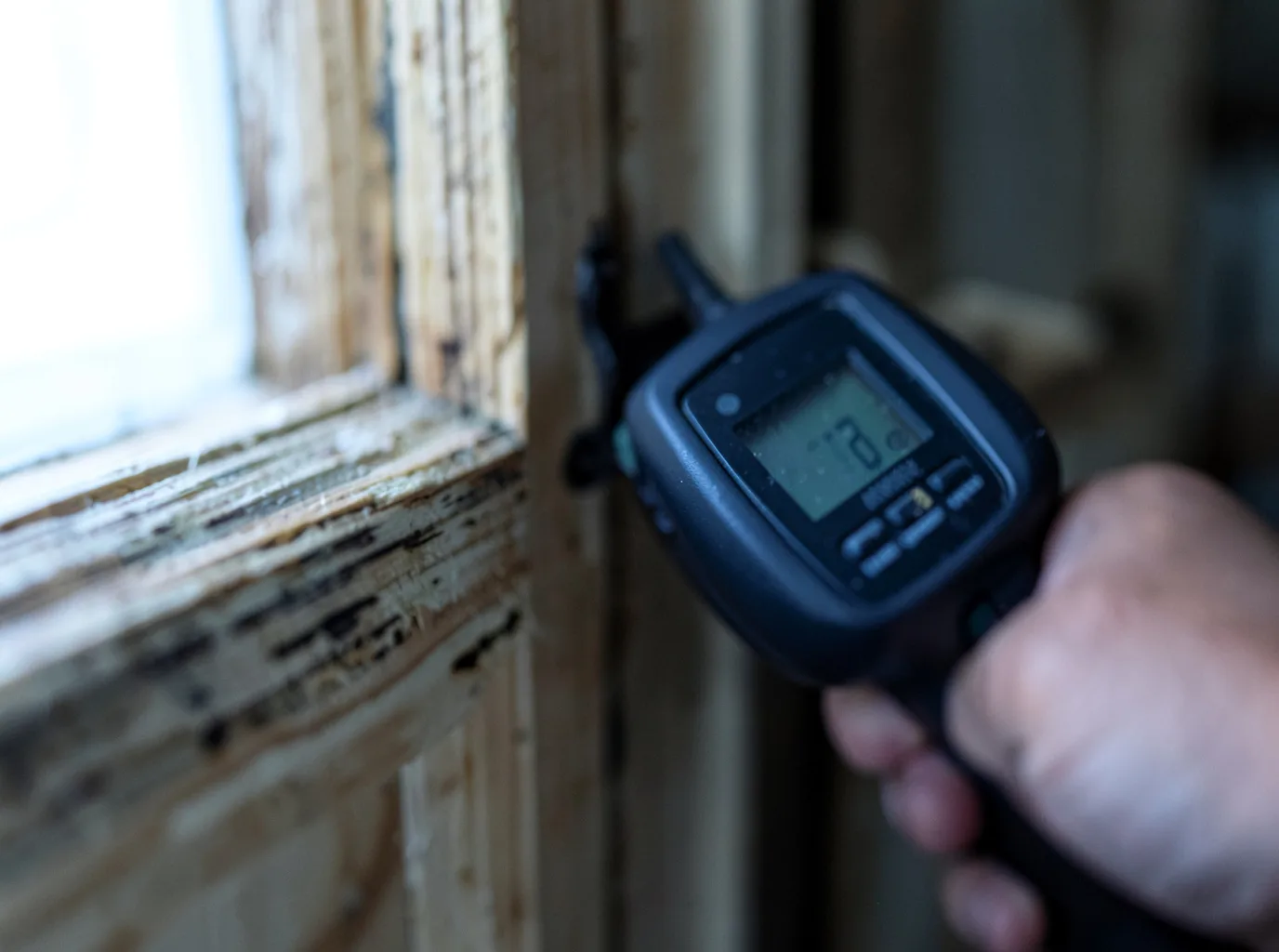 Moisture Inspection And Documentation in Alta, WY